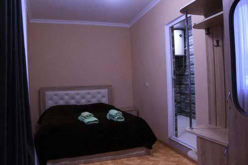 Hostal Inga Jafaridze Guesthouse Pele