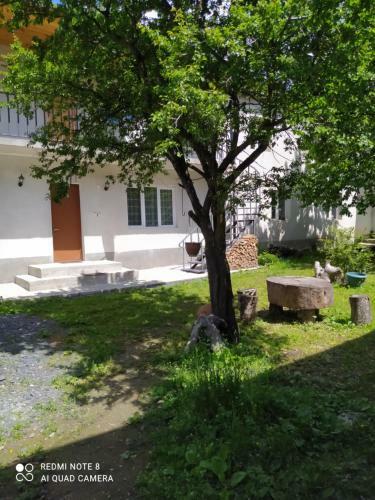 Hostal Guest House Kesa