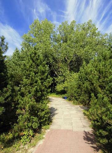Marbella**** - Houses 300m To Beach!