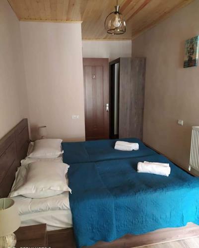 Hotel Merlani's House