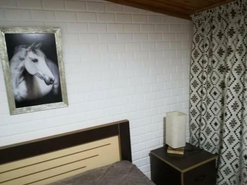Hostal Guesthouse Of Manoni