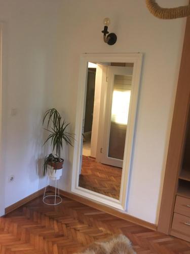 Apartamento Apolon 12