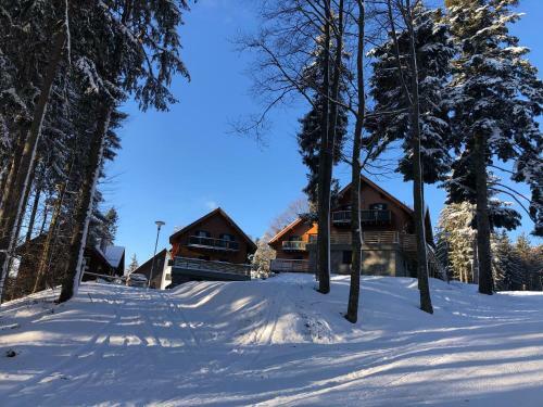 Chalet Anra Pohorje
