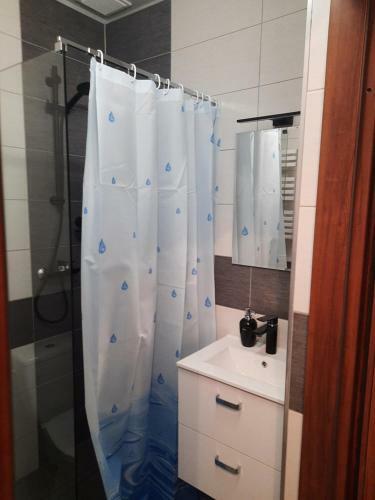 Apartamento Noclegi Koziniec
