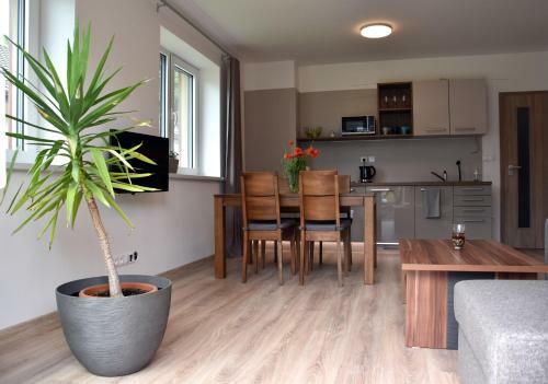Apartamento Elemir