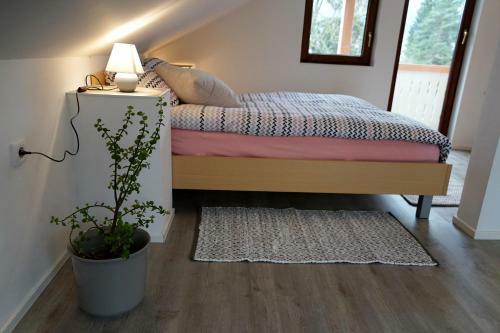 Apartma Er?en