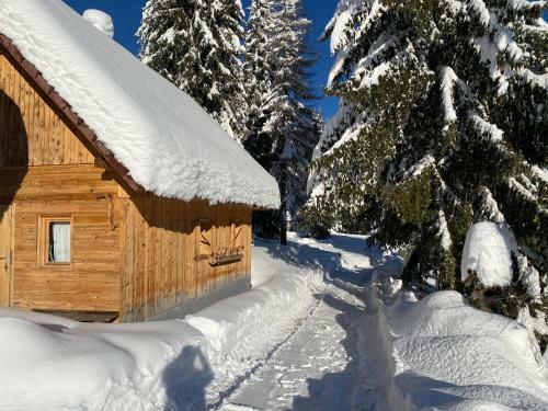 Chalet Ivi