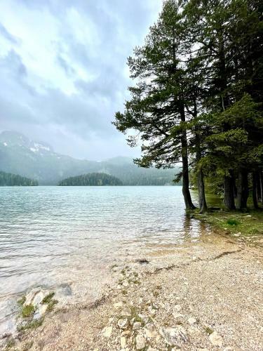 Green Hill Montenegro