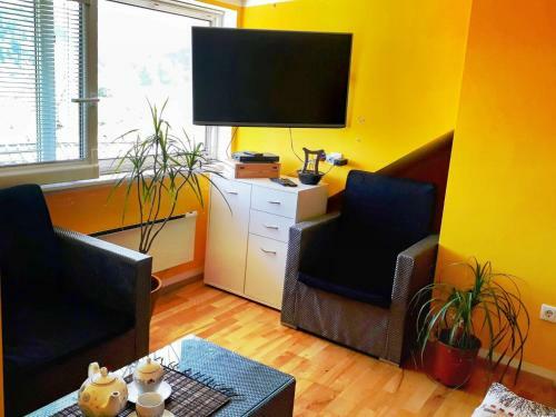 Apartma Aron