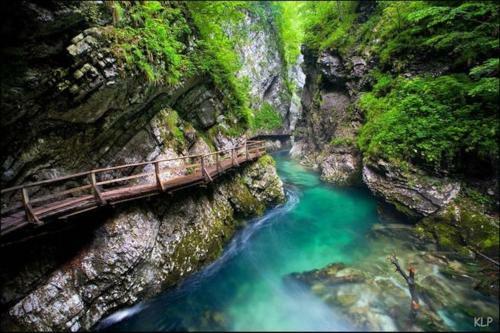 Apartamento Bled Holiday House