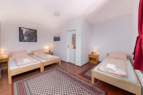 Hostal Gosti??e Vintgar
