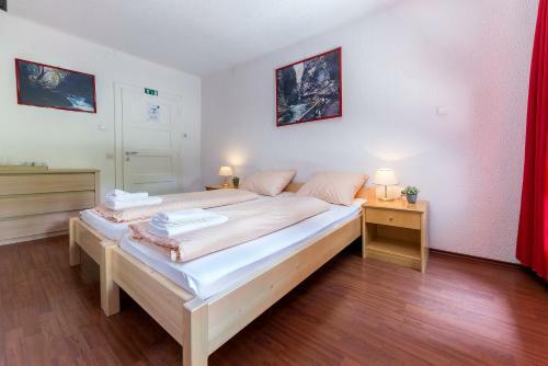 Hostal Gosti??e Vintgar