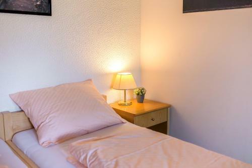 Hostal Gosti??e Vintgar