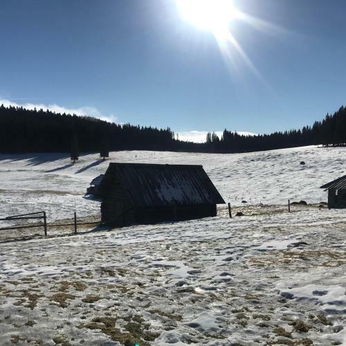 Chalet Stara Jelka Pokljuka
