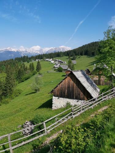 Chalet Stara Jelka Pokljuka