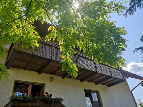 Apartmaji Volf