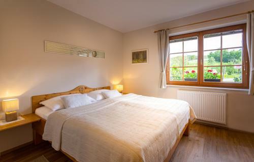 Apartmaji Volf