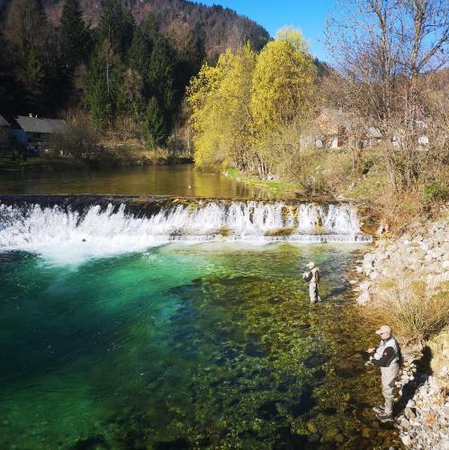 Apartmaji Volf