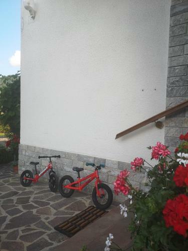 Apartmaji Volf