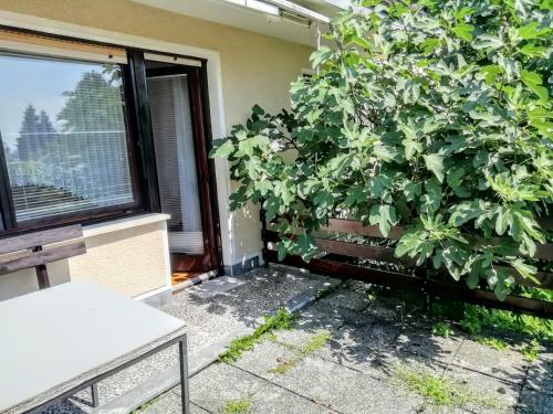 Hostal Apartsun