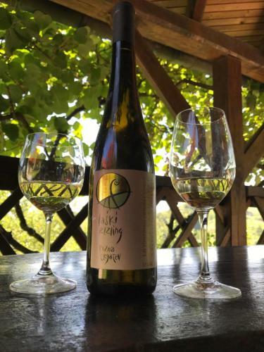 Wine & Nature & Tour