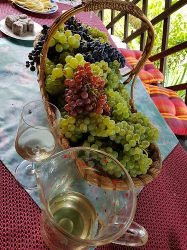Wine & Nature & Tour