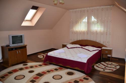 Hostal Pensiunea Teo