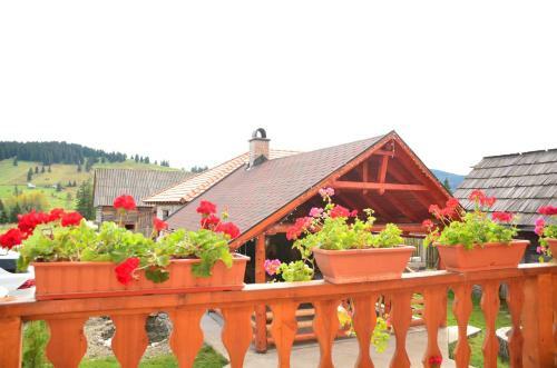 Hostal Pensiunea Teo
