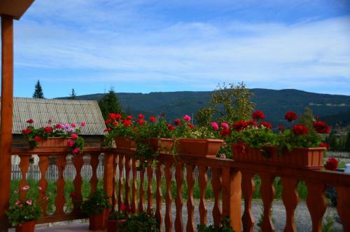Hostal Pensiunea Teo