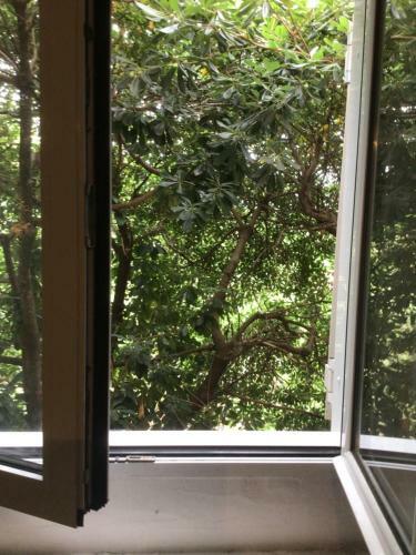 Hostal Villa Vaiva