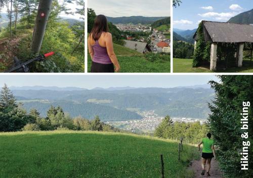Country House Pri Lipet ?iri