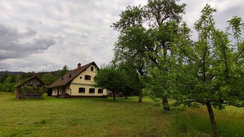 Country House Pri Lipet ?iri
