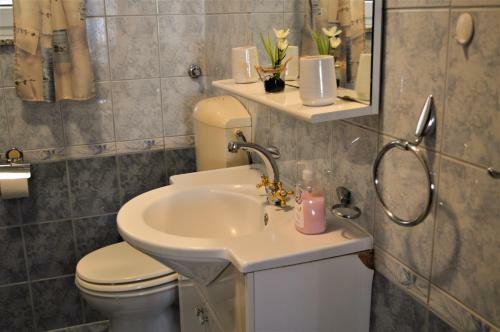 Apartmaji Natura Kolpa