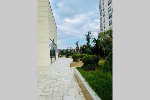 New And Luxury Apartment