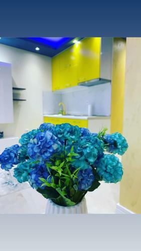 Mimoza Apartment No-4/ 5 Km Pristina