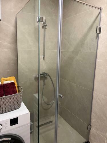 Central Luxury Apartment
