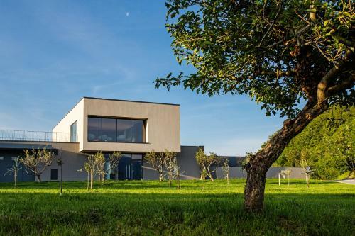 Apartmaji Guerila