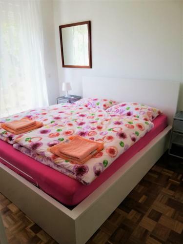 Apartma Baj?i