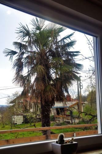 Apartma Baj?i