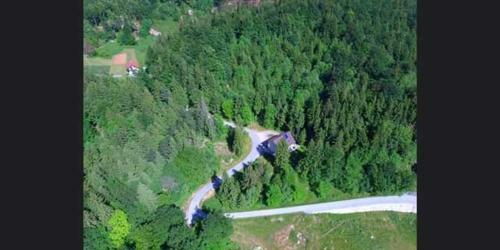 Apartmaji Velikonja