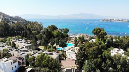 Camelot Boutique Hotel