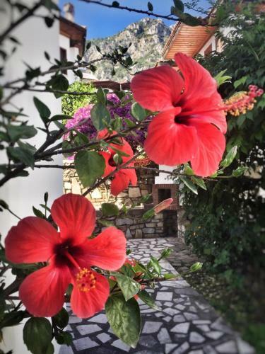 Apartamento Villa Bonde