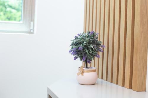 Apartman Duly Lux