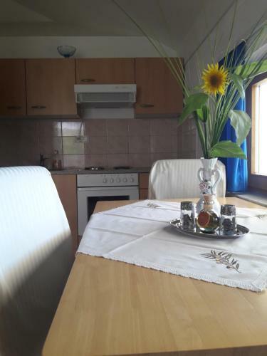 ?irovnik Apartment