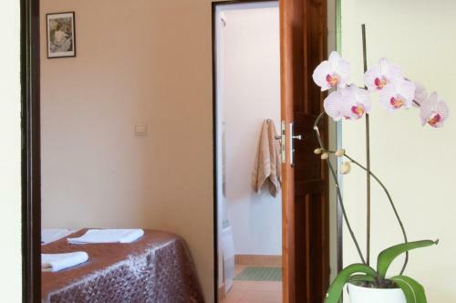 Hotel Dom4you