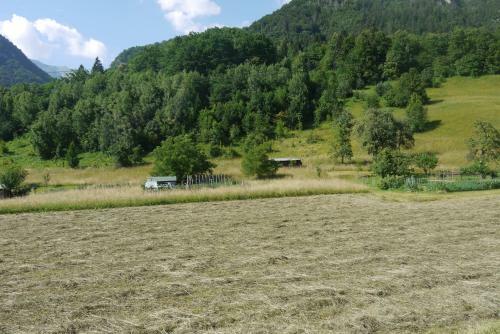 Hostal Apartments - Glamping Encijan