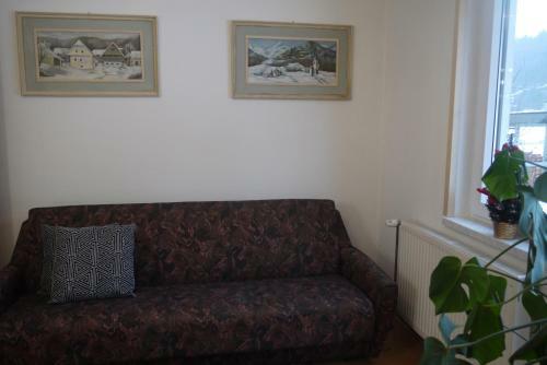 Hostal Apartments - Glamping Encijan