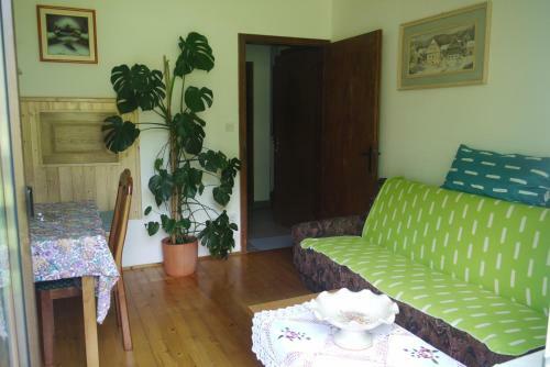 Hostal Apartments - Glamping Encijan