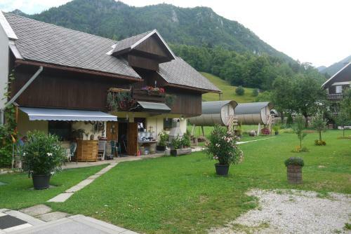 Hostal Apartments - Glamping Encijan