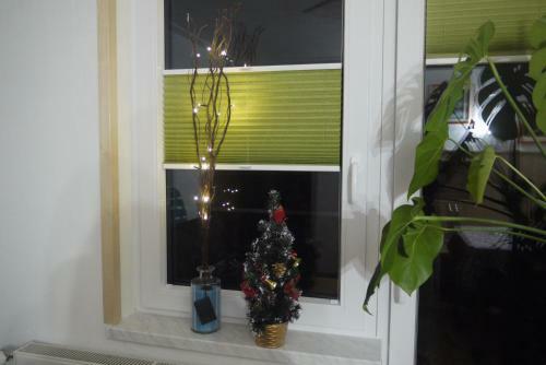 Hostal Apartments - Glamping Encijan